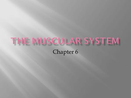 Chapter 6. Section 6.1 She was born with a genetic defect which has left her looking like the Incredible Hulk of Hounds. While her head, heart, lungs.