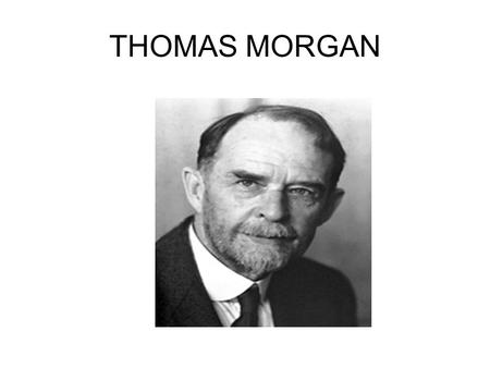 THOMAS MORGAN. Morgan’s DISCOVERY of LINKED GENES Characteristics of linked genes 1.WHEN GENES ARE CLOSE TOGETHER ON A CHROMOSOME THEY TEND TO BE INHERITED.