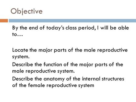 Objective By the end of today’s class period, I will be able to… Locate the major parts of the male reproductive system. Describe the function of the major.