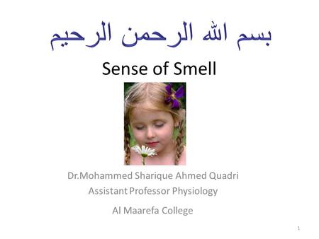 Sense of Smell Dr.Mohammed Sharique Ahmed Quadri Assistant Professor Physiology Al Maarefa College 1.