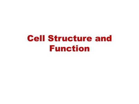 Cell Structure and Function. Robert Hook 1665 - Hook used a primitive microscope to view cork. What he saw (cell walls) he described as “cells” because.