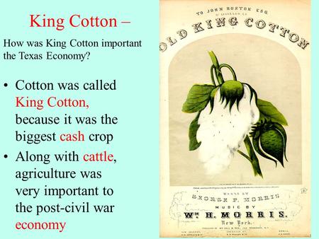 King Cotton – Cotton was called King Cotton, because it was the biggest cash crop Along with cattle, agriculture was very important to the post-civil war.