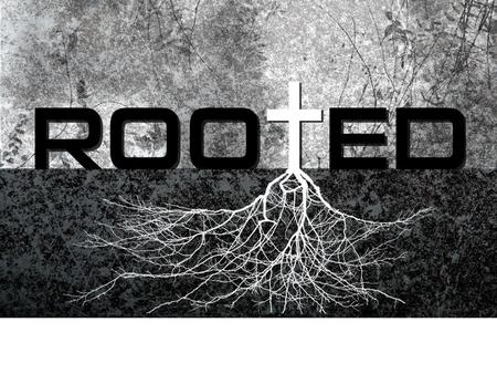 Colossians 2:6-7 So then, just as you received Christ Jesus as Lord, continue to live your lives in him, rooted and built up in him, strengthened in the.