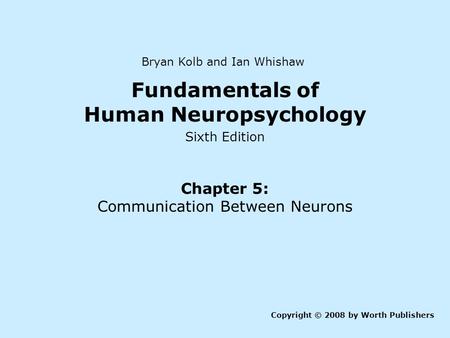 Fundamentals of Human Neuropsychology