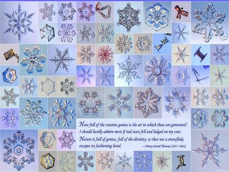 The Science of Snowflakes Every snowflake has its own unique shape and is different than all other snowflakes.