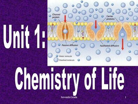 Seventh Grade1. 2 Moving Cellular Material A. Passive Transport 1.A cell membrane is semipermeable, which means that it allows only certain substances.