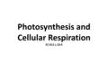 Photosynthesis and Cellular Respiration SC.912.L.18.9.