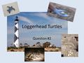 Loggerhead Turtles Question #2. Scoring 4Complete 3Substantial 2Developing 1Minimal 0.