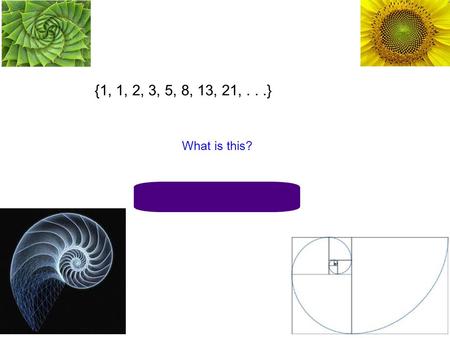 {1, 1, 2, 3, 5, 8, 13, 21,...} What is this? Fibonacci Sequence.