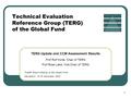 1 Technical Evaluation Reference Group (TERG) of the Global Fund TERG Update and CCM Assessment Results Prof Rolf Korte, Chair of TERG Prof Rose Leke,