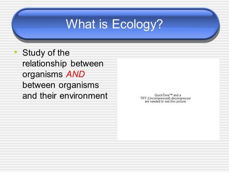 What is Ecology? Study of the relationship between organisms AND between organisms and their environment.