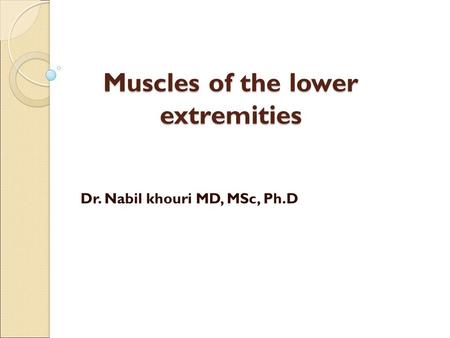 Muscles of the lower extremities