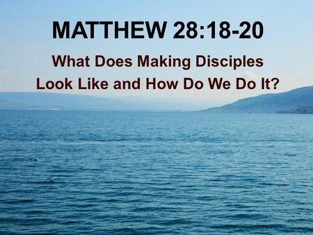 MATTHEW 28:18-20 What Does Making Disciples Look Like and How Do We Do It?