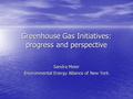 Greenhouse Gas Initiatives: progress and perspective Sandra Meier Environmental Energy Alliance of New York.