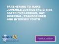 PARTNERING TO MAKE JUVENILE JUSTICE FACILITIES SAFER FOR LESBIAN, GAY, BISEXUAL, TRANSGENDER AND INTERSEX YOUTH.