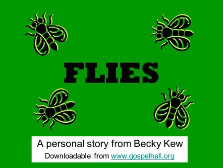 FLIES A personal story from Becky Kew Downloadable from www.gospelhall.orgwww.gospelhall.org.