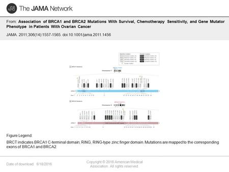 Date of download: 6/18/2016 Copyright © 2016 American Medical Association. All rights reserved. From: Association of BRCA1 and BRCA2 Mutations With Survival,