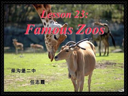 Lesson 23: Famous Zoos 柴沟堡二中 任志霞 Correct the mistakes: 1.It’s April Fools Day. 2.I have two news to tell you. 3. The man on the radio said that the bear.