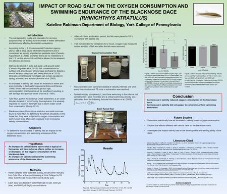 IMPACT OF ROAD SALT ON THE OXYGEN CONSUMPTION AND SWIMMING ENDURANCE OF THE BLACKNOSE DACE (RHINICHTHYS ATRATULUS) Kateline Robinson Department of Biology,