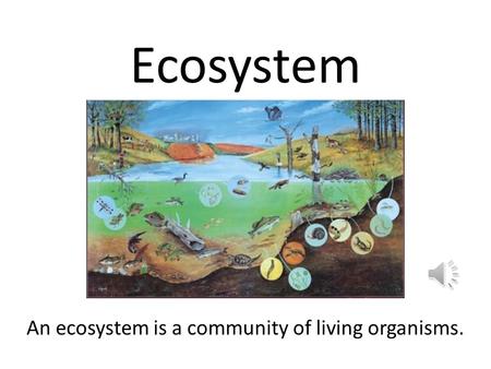 Ecosystem An ecosystem is a community of living organisms.