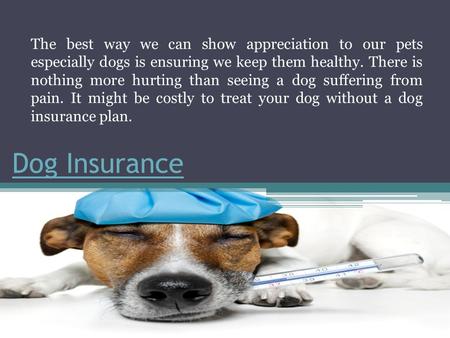 Dog Insurance The best way we can show appreciation to our pets especially dogs is ensuring we keep them healthy. There is nothing more hurting than seeing.