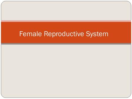 Female Reproductive System