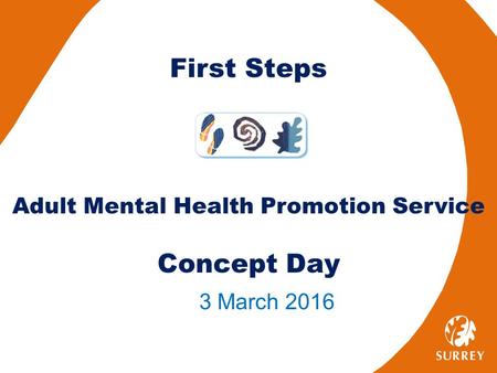 First Steps Adult Mental Health Promotion Service Concept Day 3 March 2016.