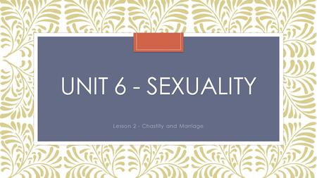 UNIT 6 - SEXUALITY Lesson 2 - Chastity and Marriage.