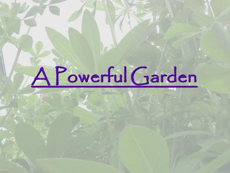 A Powerful Garden. How can a garden positively impact the environment?