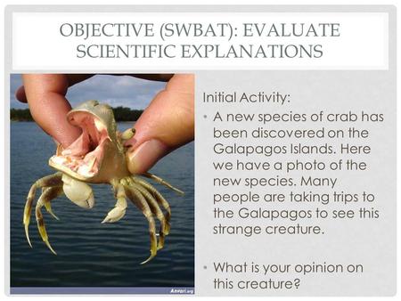 OBJECTIVE (SWBAT): EVALUATE SCIENTIFIC EXPLANATIONS Initial Activity: A new species of crab has been discovered on the Galapagos Islands. Here we have.