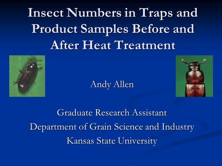 Insect Numbers in Traps and Product Samples Before and After Heat Treatment Andy Allen Graduate Research Assistant Department of Grain Science and Industry.