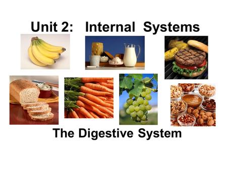 Unit 2: Internal Systems The Digestive System. Digestive System responsible for 4 major functions: 1. ingestion intake of nutrients (eating) 2. digestion.