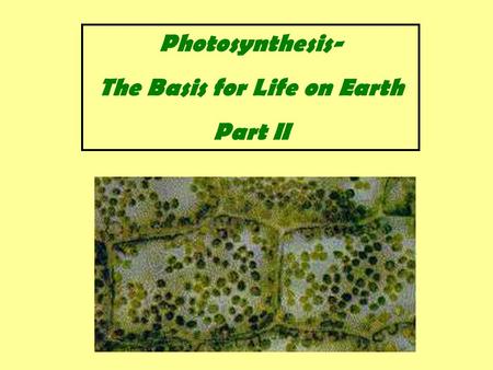 Photosynthesis- The Basis for Life on Earth Part II.