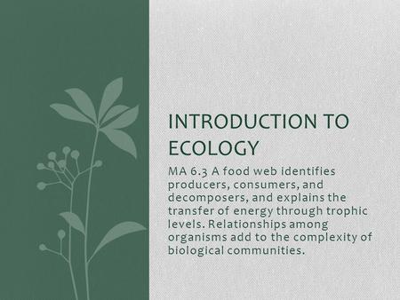 MA 6.3 A food web identifies producers, consumers, and decomposers, and explains the transfer of energy through trophic levels. Relationships among organisms.