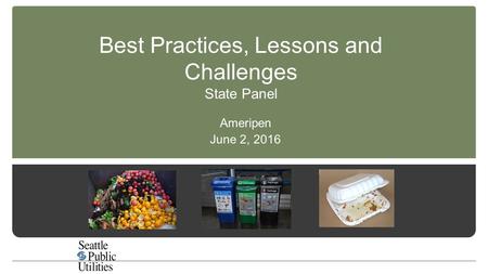 Best Practices, Lessons and Challenges State Panel Ameripen June 2, 2016.