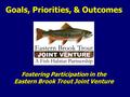 Goals, Priorities, & Outcomes Fostering Participation in the Eastern Brook Trout Joint Venture.