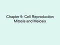 Chapter 9: Cell Reproduction Mitosis and Meiosis.