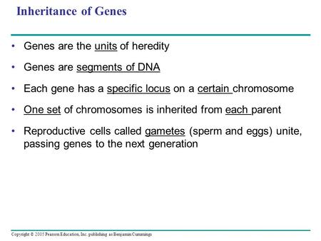 Copyright © 2005 Pearson Education, Inc. publishing as Benjamin Cummings Inheritance of Genes Genes are the units of heredity Genes are segments of DNA.