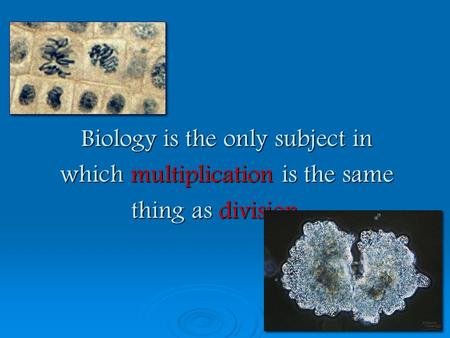 Biology is the only subject in which multiplication is the same thing as division…