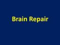 Brain Repair. Introduction For successful regeneration after axotomy to take place, the injured neuron has to recall a blueprint and prepare a Gant-chart.