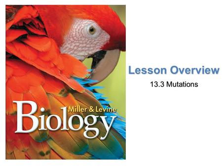 Lesson Overview 13.3 Mutations. THINK ABOUT IT The sequence of bases in DNA are like the letters of a coded message. What would happen if a few of those.