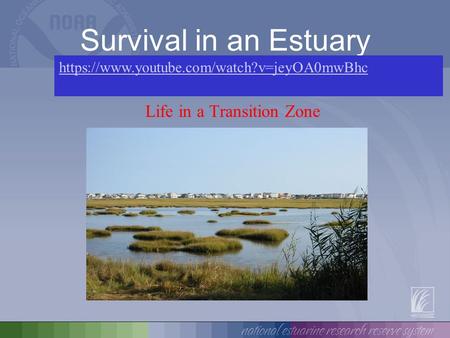 Survival in an Estuary Life in a Transition Zone https://www.youtube.com/watch?v=jeyOA0mwBhc.