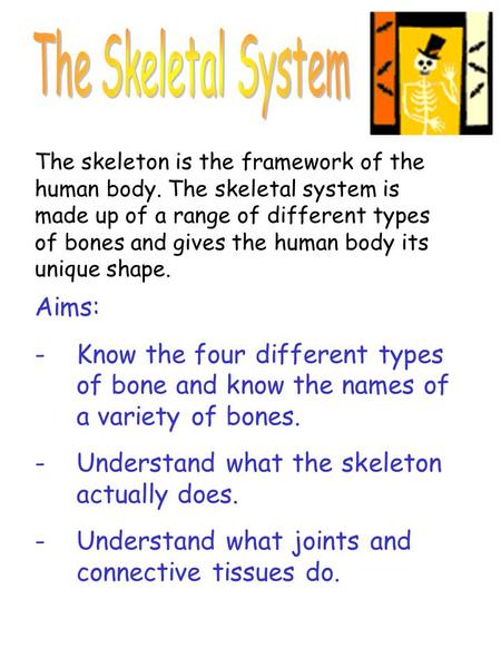 The skeleton is the framework of the human body. The skeletal system is made up of a range of different types of bones and gives the human body its unique.