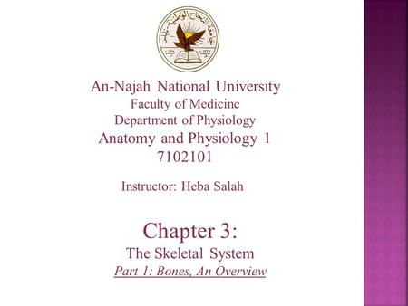 An-Najah National University Faculty of Medicine Department of Physiology Anatomy and Physiology 1 7102101 Instructor: Heba Salah Chapter 3: The Skeletal.