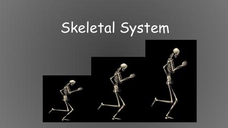 Skeletal System. 5 Functions of the Skeletal System 1. Movement: Skeletal system provides points of attachment for muscles. Your legs and arms move when.