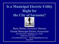 Is a Municipal Electric Utility Right for the City of Sarasota? Barry Moline, Executive Director Florida Municipal Electric Association P.O. Box 10114.