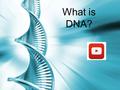 What is DNA?. So, DNA….. Deoxyribonucleic Acid Codes for proteins Proteins make us who we are DNA is like the instruction manual for you.