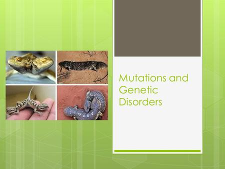 Mutations and Genetic Disorders. Review One Wrong Letter  Questions to think about: 1) How is the little boy in the video.