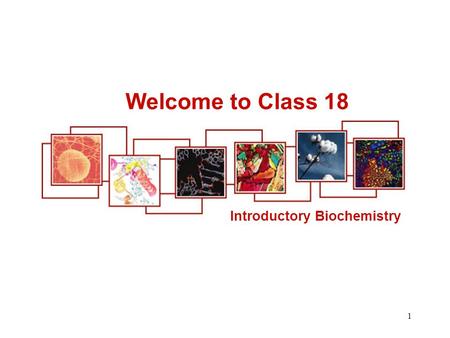 Welcome to Class 18 Introductory Biochemistry.