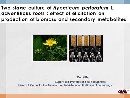 Two-stage culture of Hypericum perforatum L. adventitious roots : effect of elicitation on production of biomass and secondary metabolites Cui XiHua Supervised.